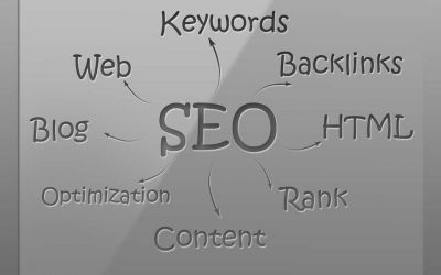 Why you are an SEO Champion.